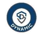 Dynamic Services & Security IPO
