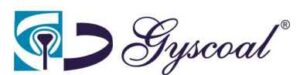 Gyscoal Alloys Rights Issue